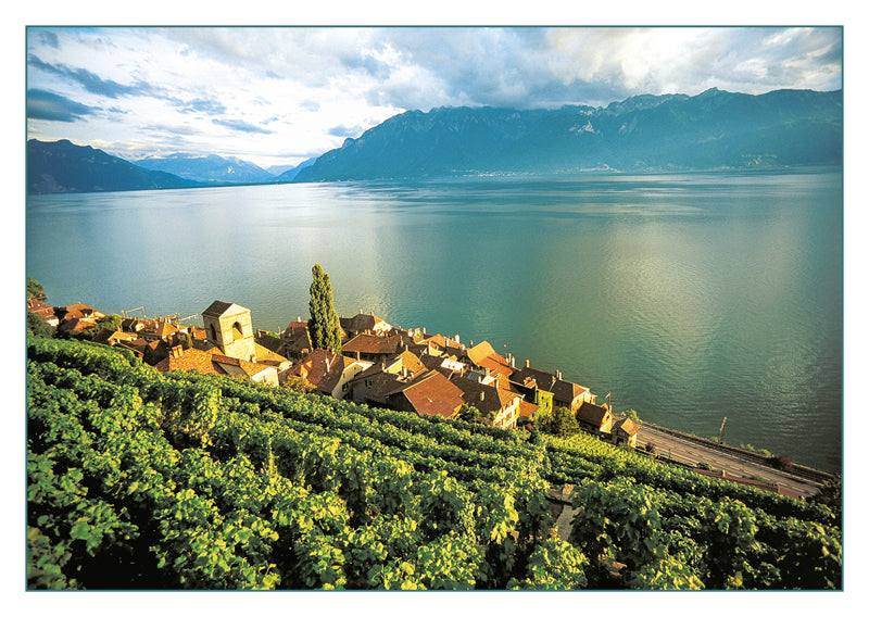 Saint-Saphorin, Switzerland