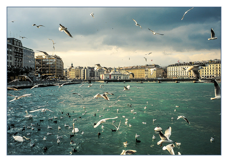 10131 - Genève, Suisse