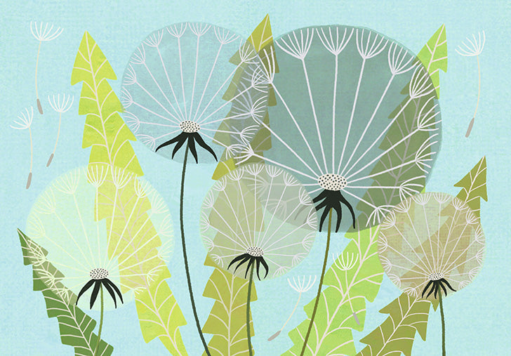 Greetings card - Dandelions