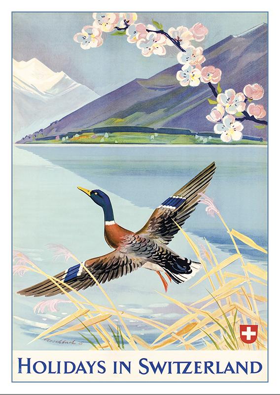 Postcard - HOLIDAYS IN SWITZERLAND - Poster by Hans Aeschbach - 1945