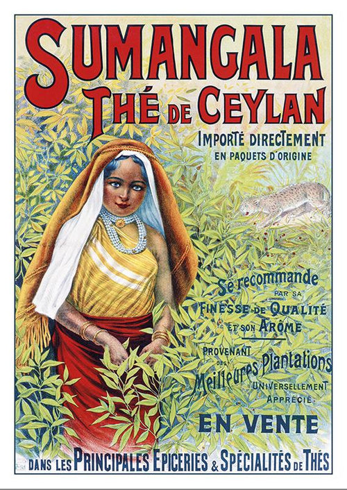 Postcard SUMANGALA - THÉ DE CEYLAN - Poster - 1900
