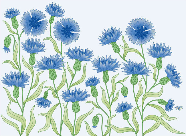 Greetings card Beatrix Lazzaro