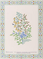  Greetings card - Some Flowers - Beatrix Lazzaro