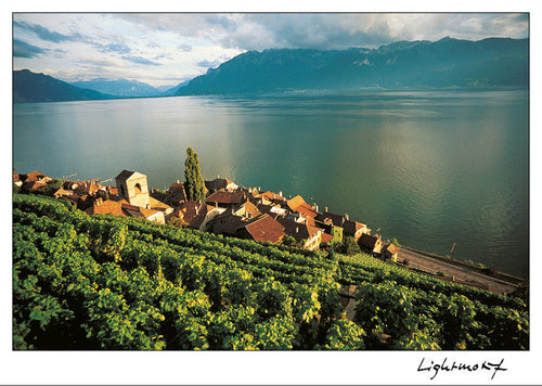 Saint-Saphorin, Lake Geneva, Switzerland