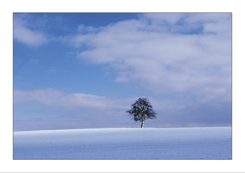 Doppelkarte: Winter landscape