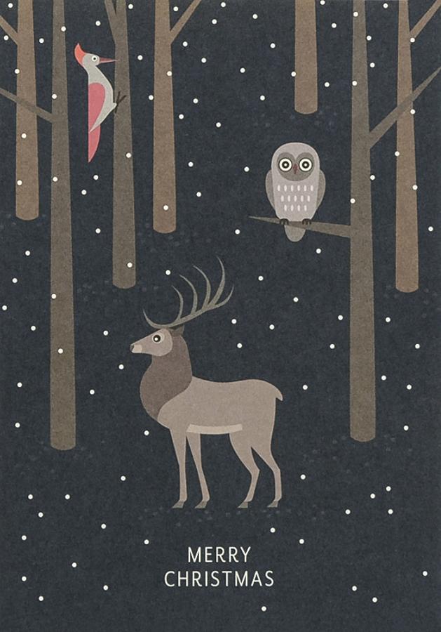 02-1.194 - Cerf et chouette